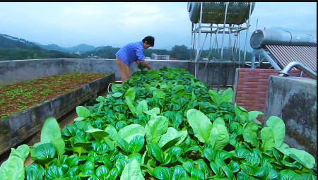 1645596876562576.jpg 1645596876562576.jpg