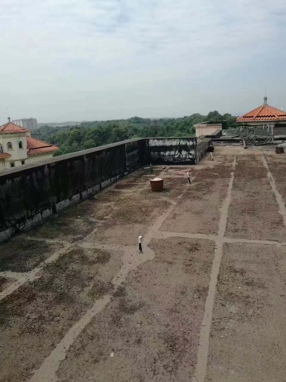 1645596949745967.jpg 1645596949745967.jpg