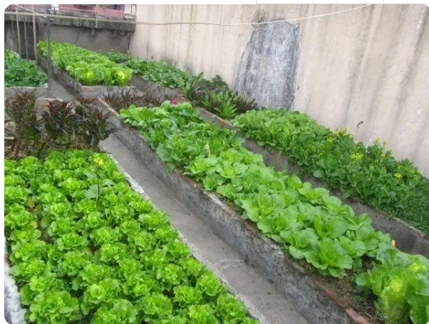 1645597337440890.jpg 1645597337440890.jpg