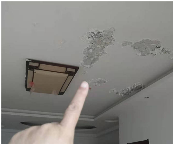 1650005850182622.jpg 1650005850182622.jpg