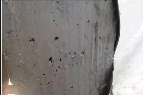 1655105417499506.jpg 1655105417499506.jpg