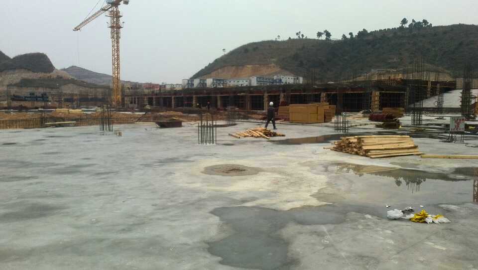 1680320296271261.jpg 1680320296271261.jpg